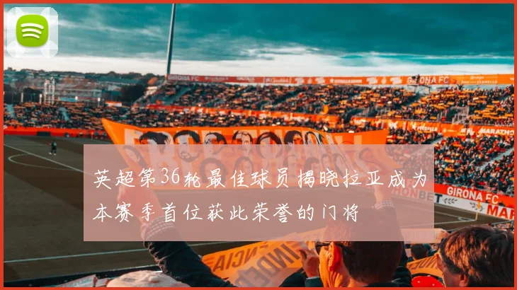 英超第36轮最佳球员揭晓拉亚成为本赛季首位获此荣誉的门将