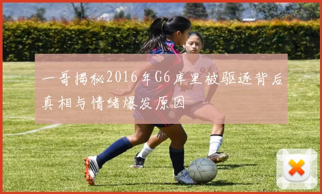 一哥揭秘2016年G6库里被驱逐背后真相与情绪爆发原因